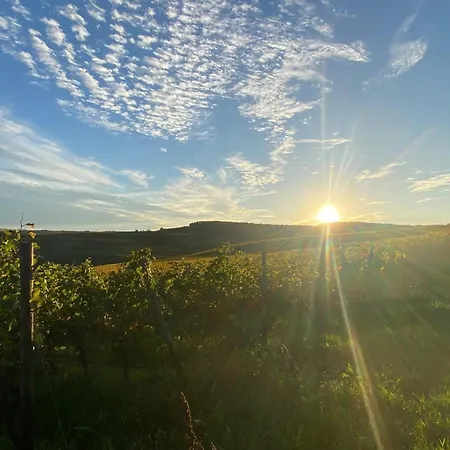 Am Weinberg 度假居