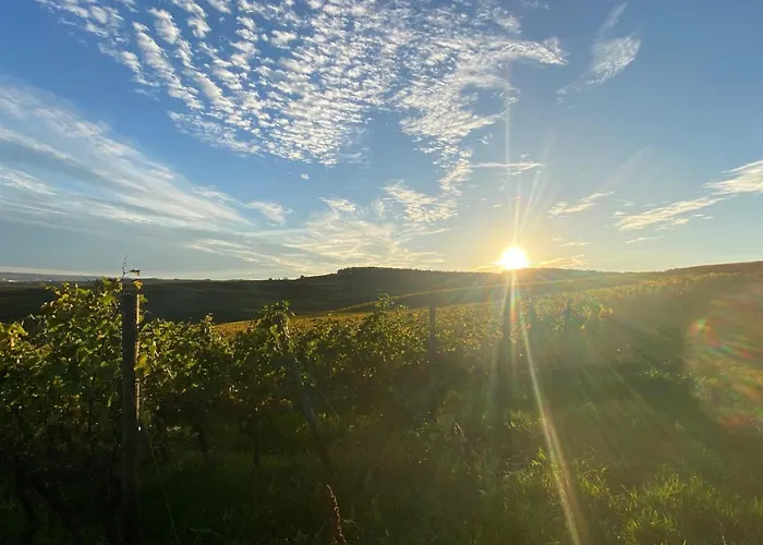 Am Weinberg בית נופש